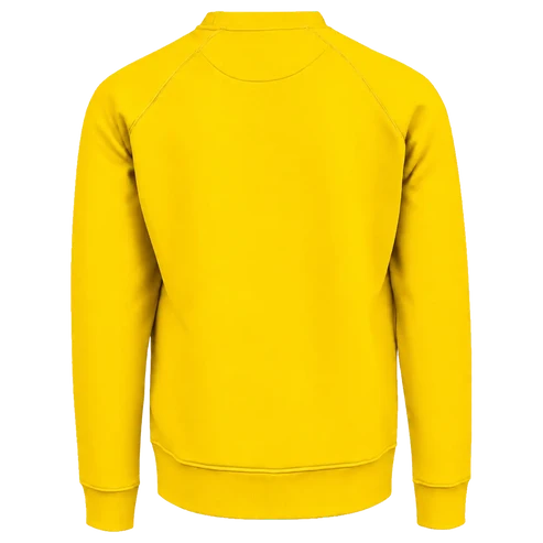Мъжки суичър REMO PRO